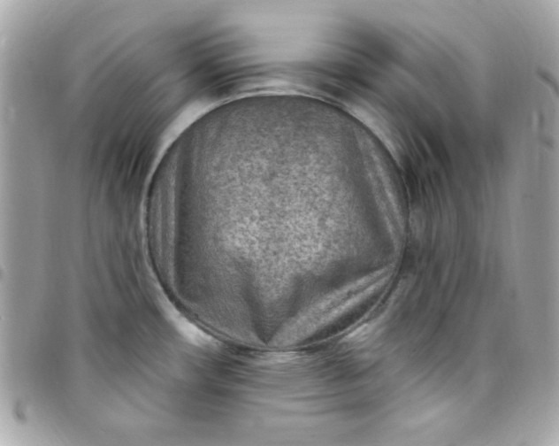 X0000097751482200803211641