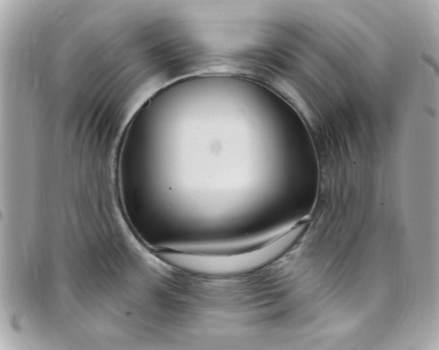 X0000097751483200803211641