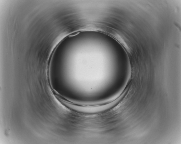 X0000097751484200803211641