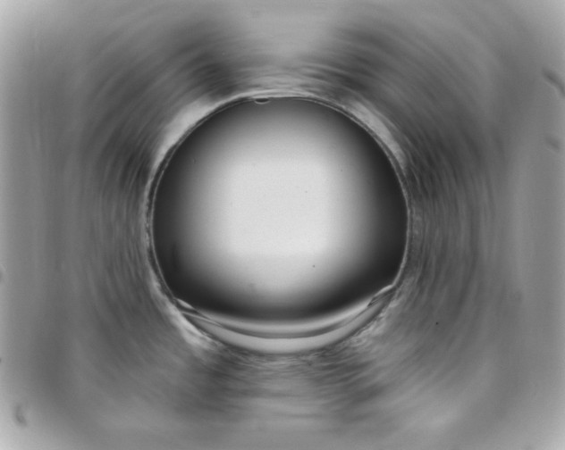 X0000097751485200803211641