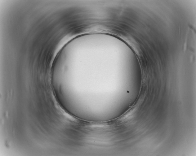 X0000097751486200803211641