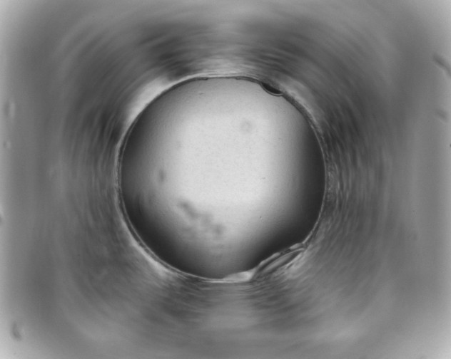 X0000097751487200803211641