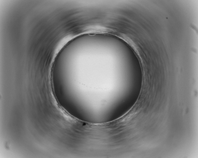 X0000097751488200803211641