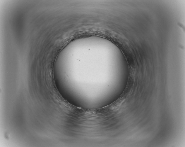 X0000097751489200803211640