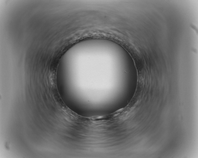 X0000097751490200803211640