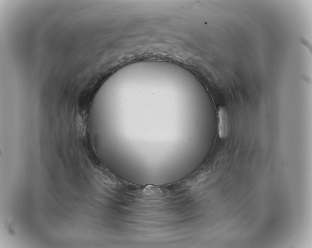 X0000097751491200803211640