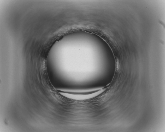 X0000097751492200803211640