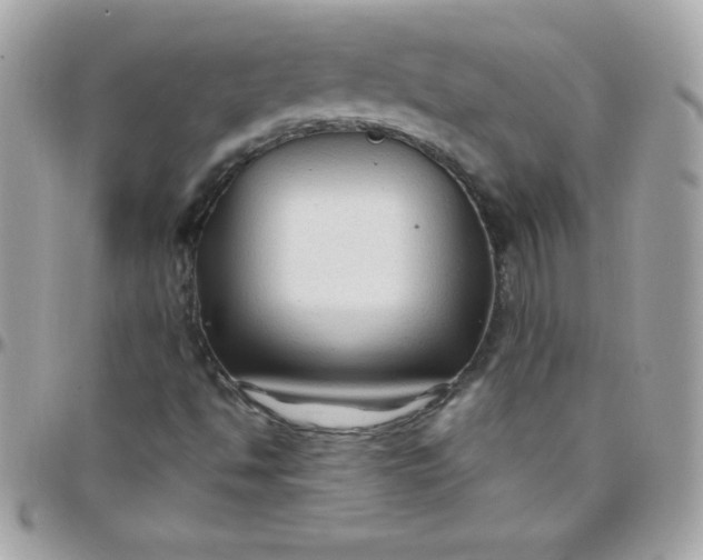 X0000097751494200803211640