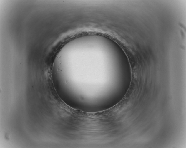 X0000097751495200803211640