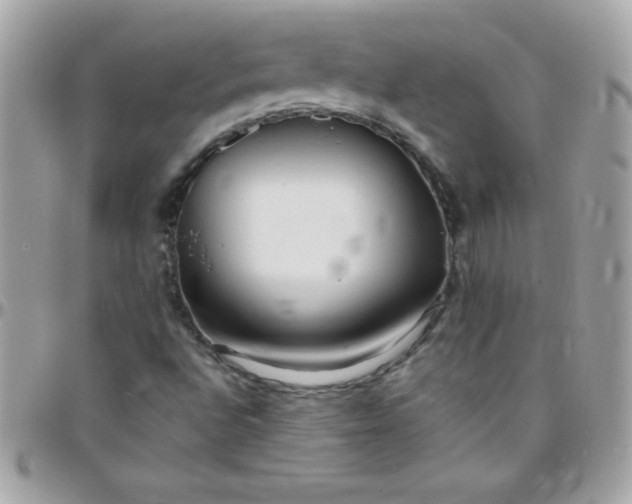 X0000097751496200803211640