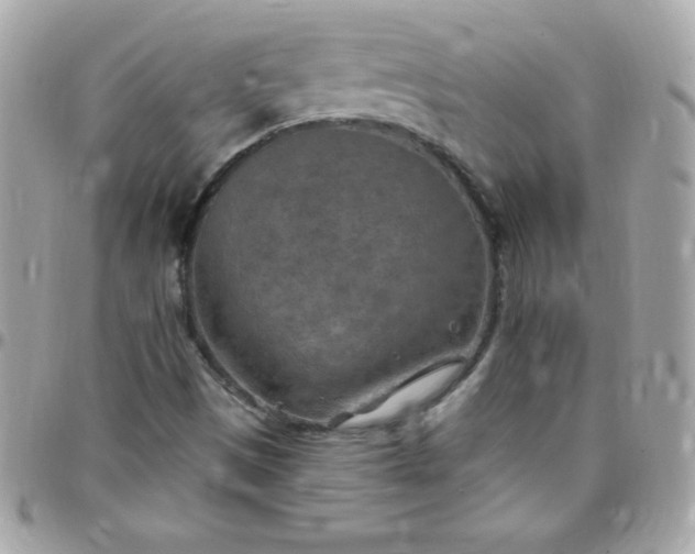 X0000097751497200803211640