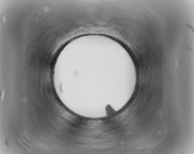 X0000097751498200803211640