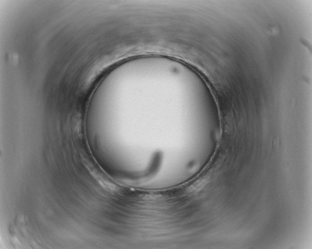 X0000097751499200803211640