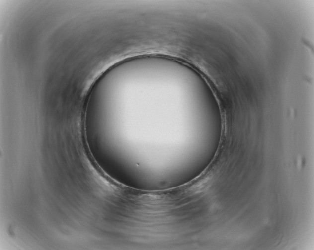 X0000097751500200803211640