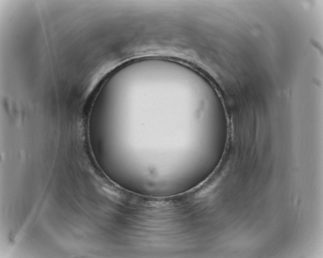 X0000097751501200803211640