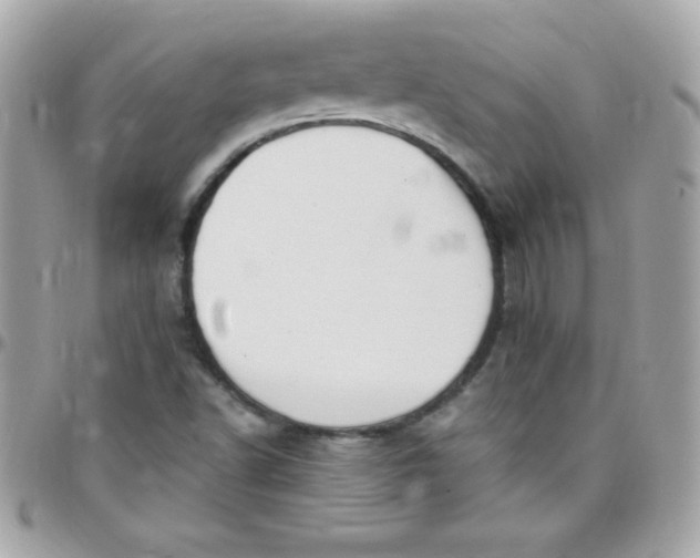 X0000097751502200803211640