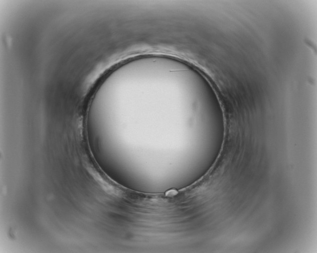 X0000097751503200803211640