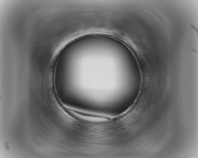 X0000097751504200803211640