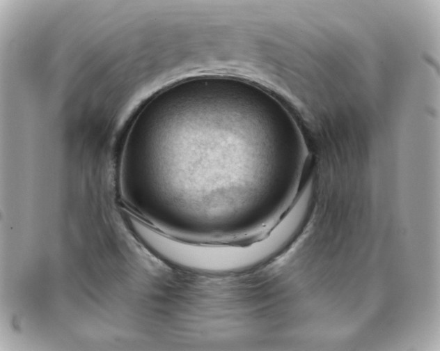 X0000097751506200803211640