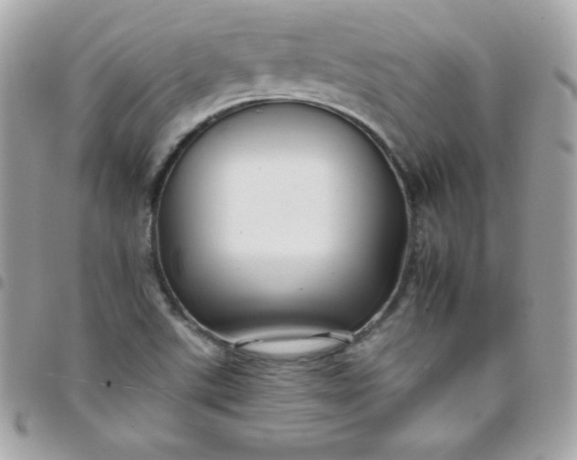 X0000097751507200803211640