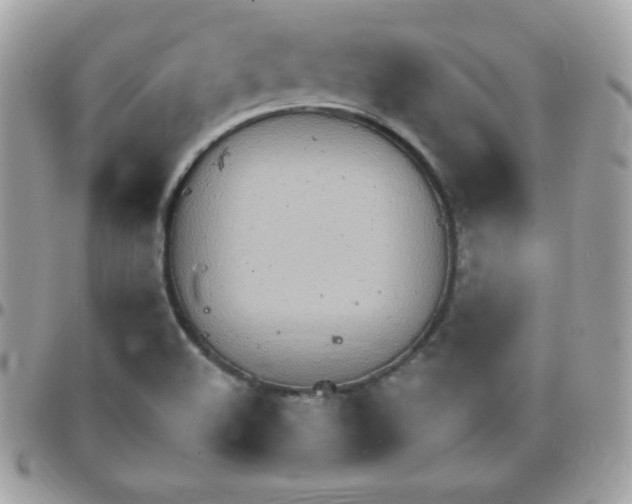 X0000097751508200803211640