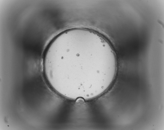 X0000097751509200803211640