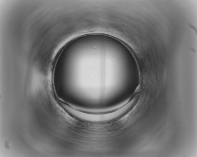 X0000097751510200803211640