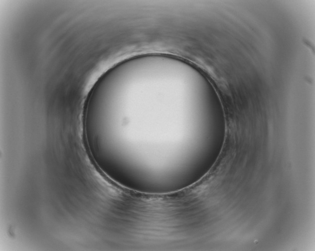 X0000097751512200803211640