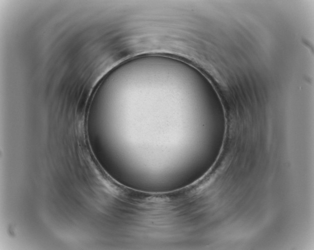 X0000097751513200803211640