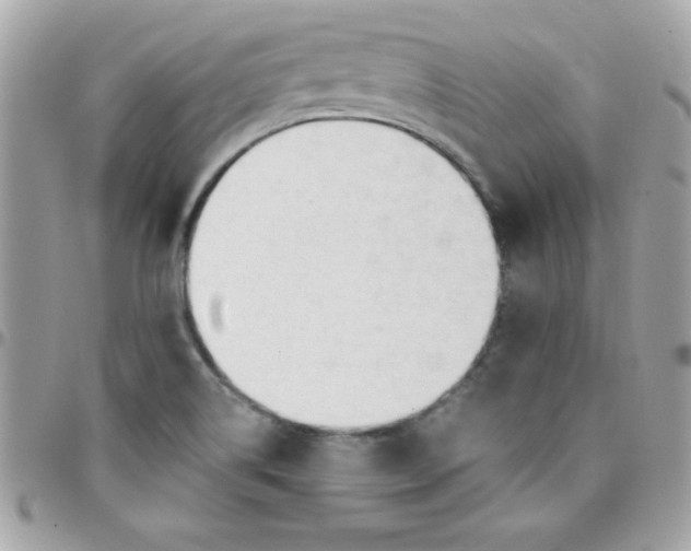 X0000097751514200803211640