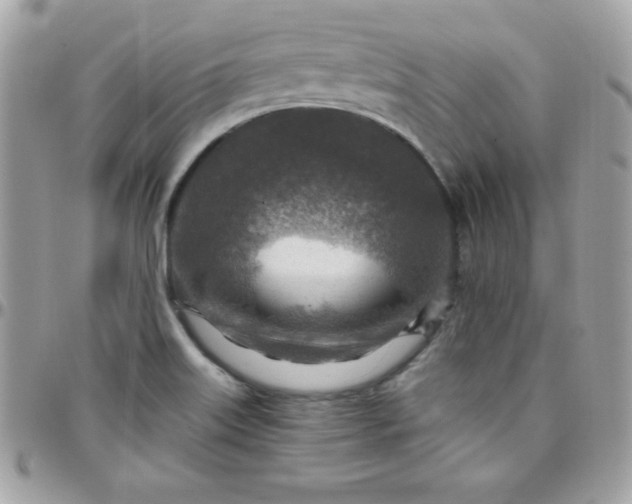 X0000097751515200803211640