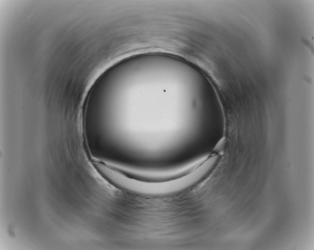 X0000097751516200803211640