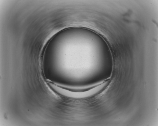 X0000097751517200803211640