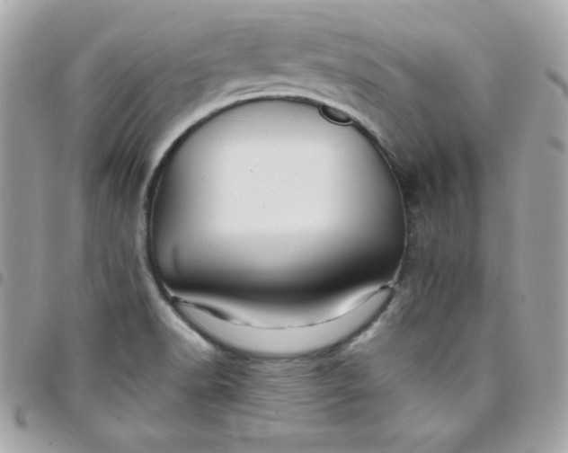 X0000097751518200803211640