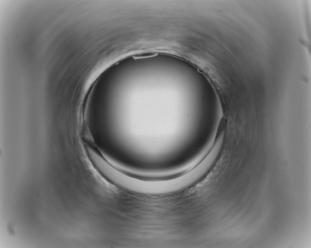 X0000097751520200803211640