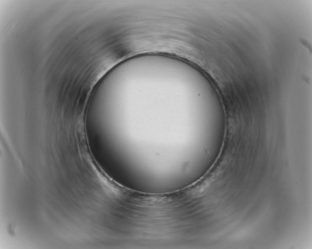 X0000097751521200803211640