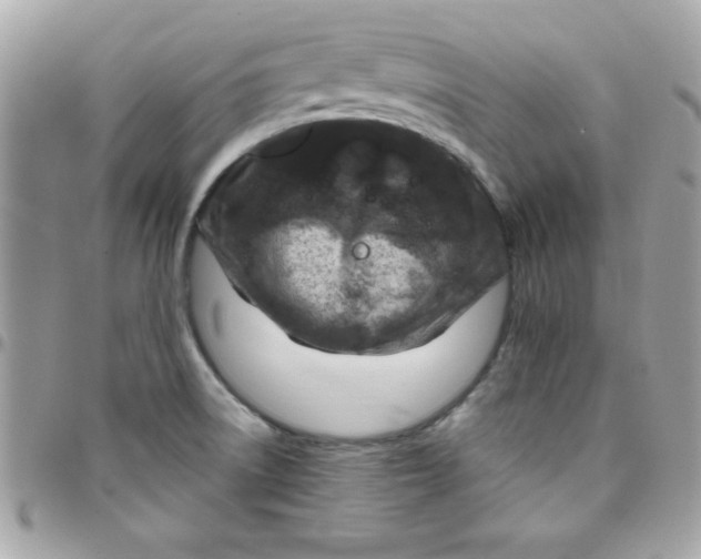 X0000097751522200803211640