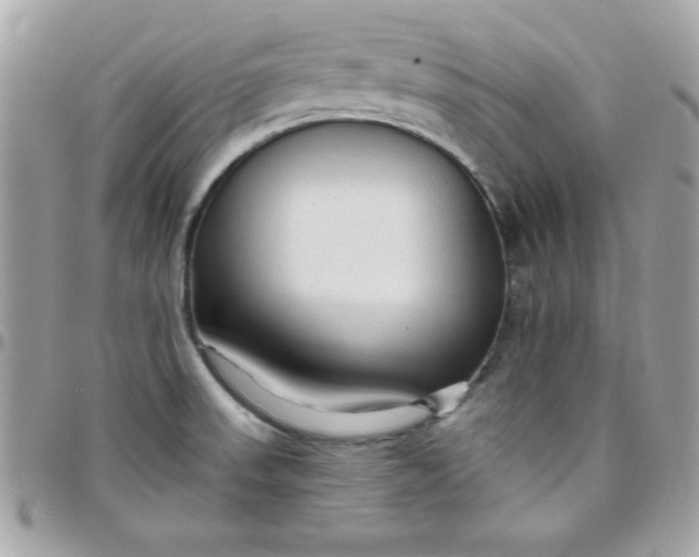 X0000097751523200803211640