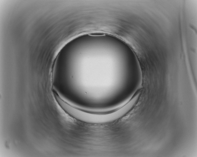 X0000097751524200803211640