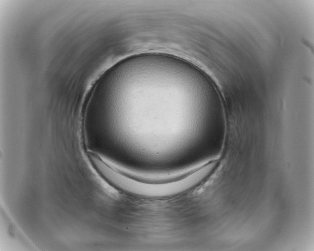 X0000097751525200803211640