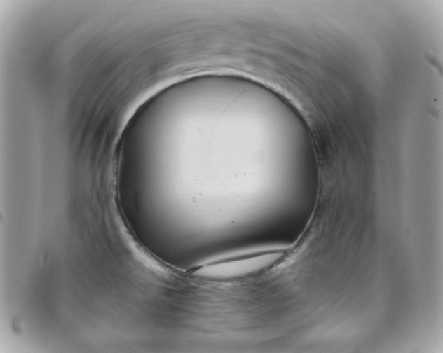 X0000097751526200803211640