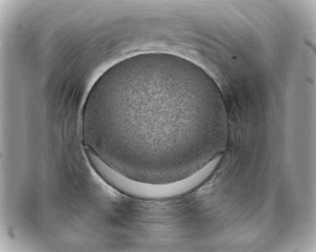 X0000097751527200803211640