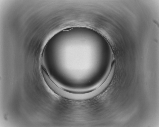 X0000097751528200803211640