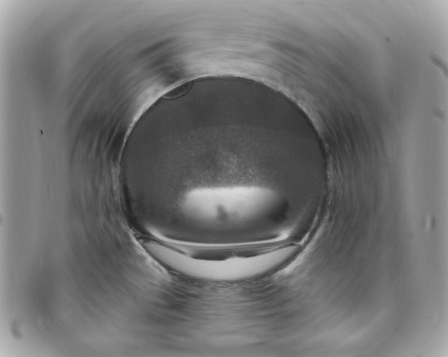 X0000097751529200803211640