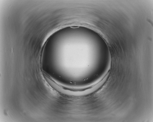 X0000097751530200803211640