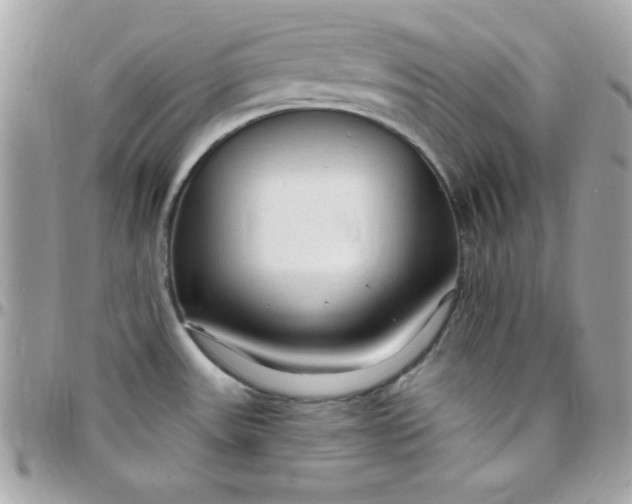 X0000097751531200803211640