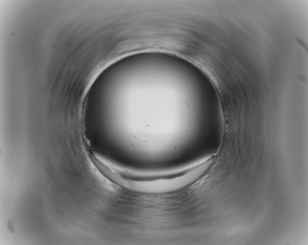 X0000097751532200803211640