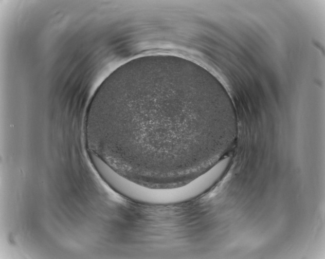 X0000097751533200803211640