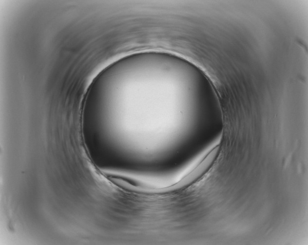 X0000097751534200803211640