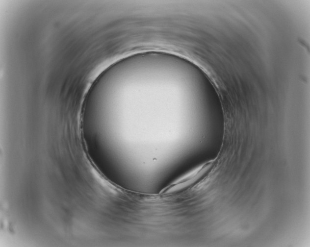 X0000097751535200803211640